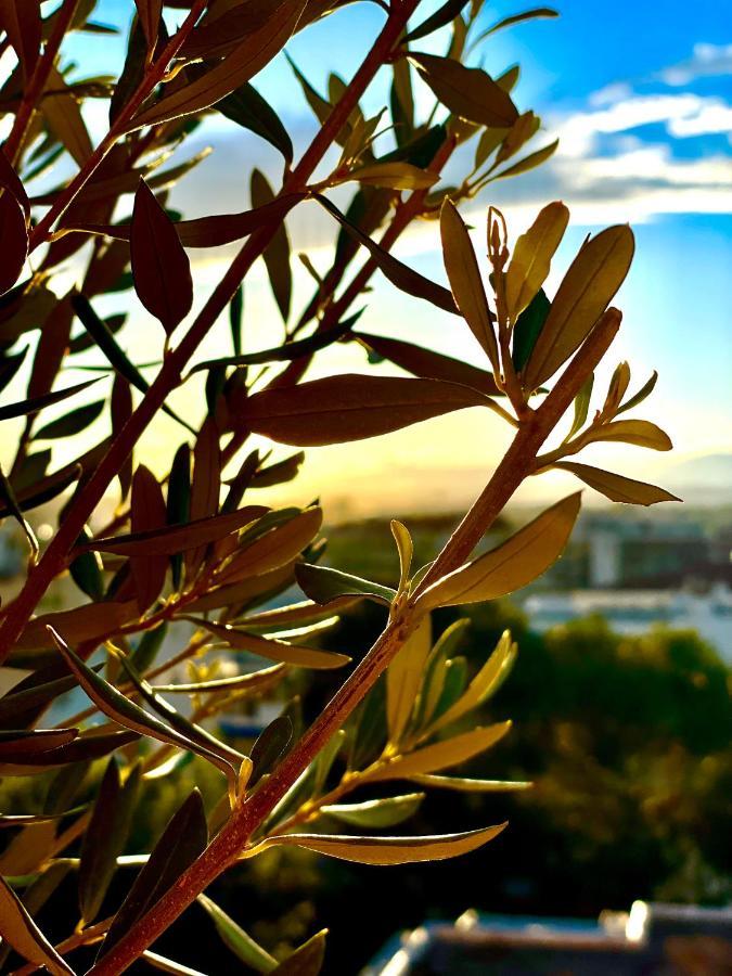 Rooftop Apartement - Quartier Croisette - Esc'Appart カンヌ エクステリア 写真